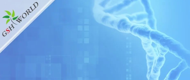 行業關注 - 風靡美國的輔酶Q10到底要不要吃?吃多少合適?