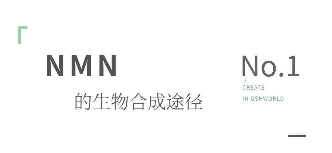 古特生物 古特生物