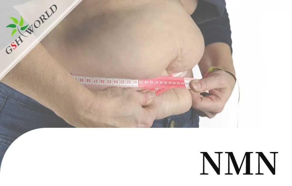 古特生物 古特生物