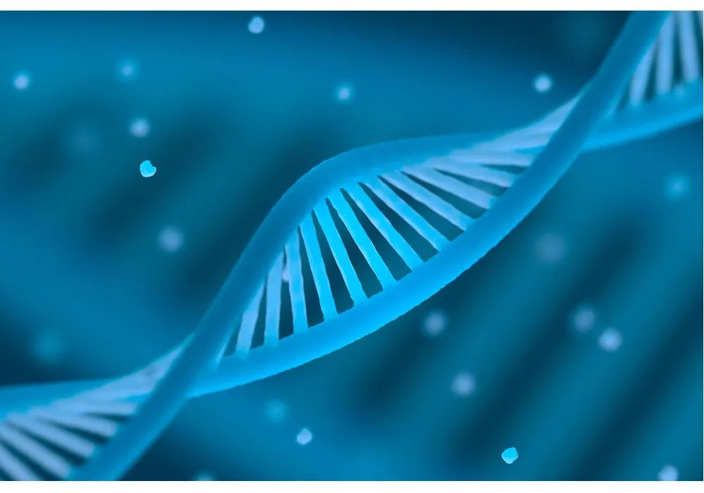 古特生物 古特生物