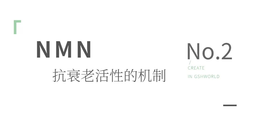 古特生物 古特生物