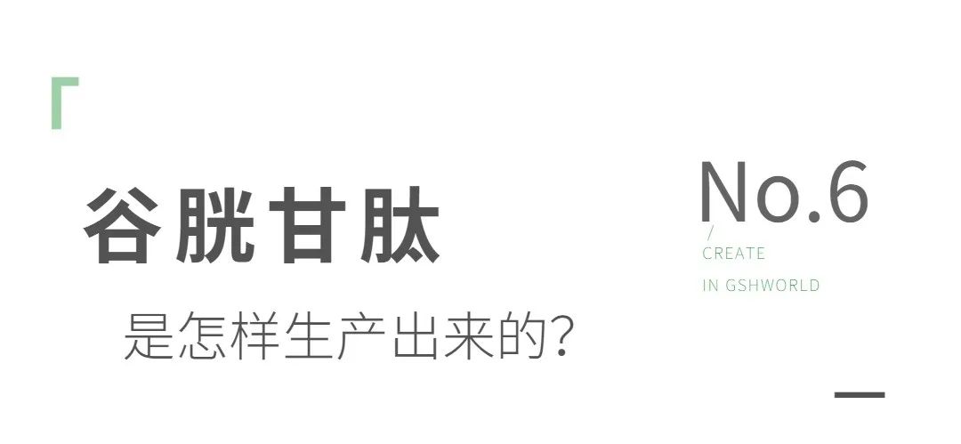 谷胱甘肽是如何生產的?