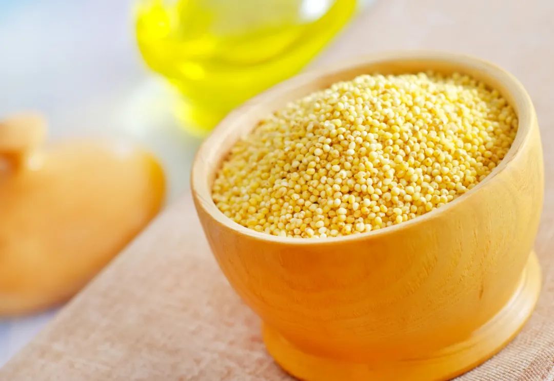 古特生物 古特生物