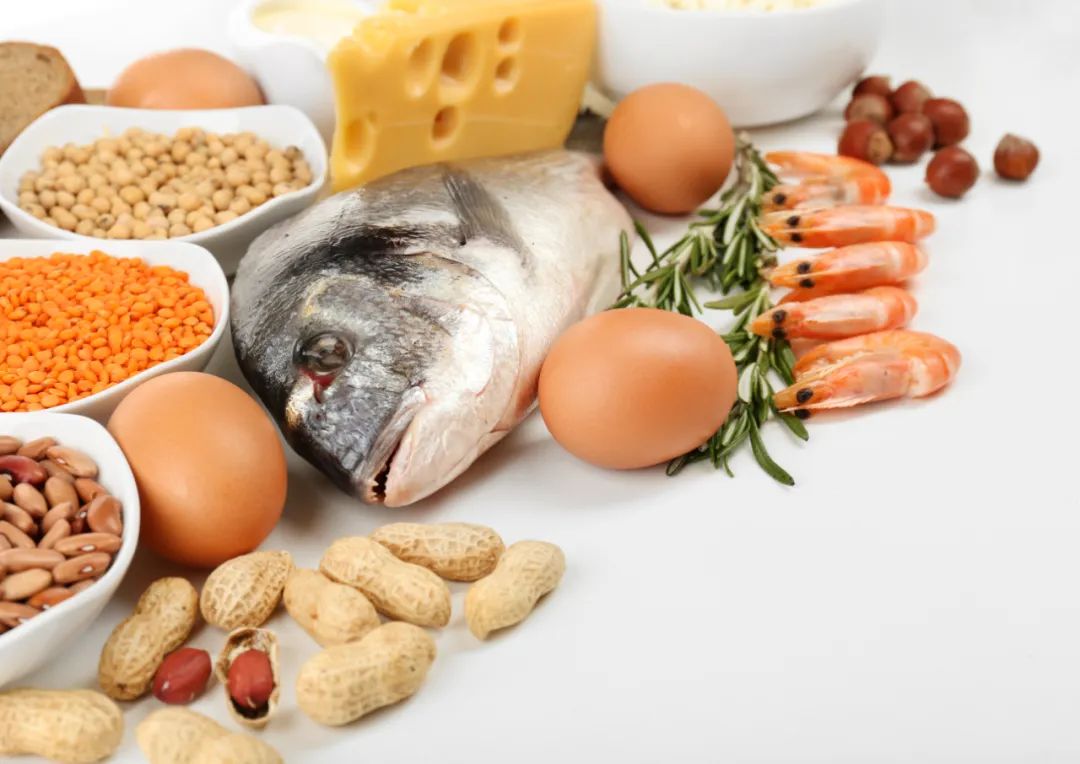 古特生物 古特生物