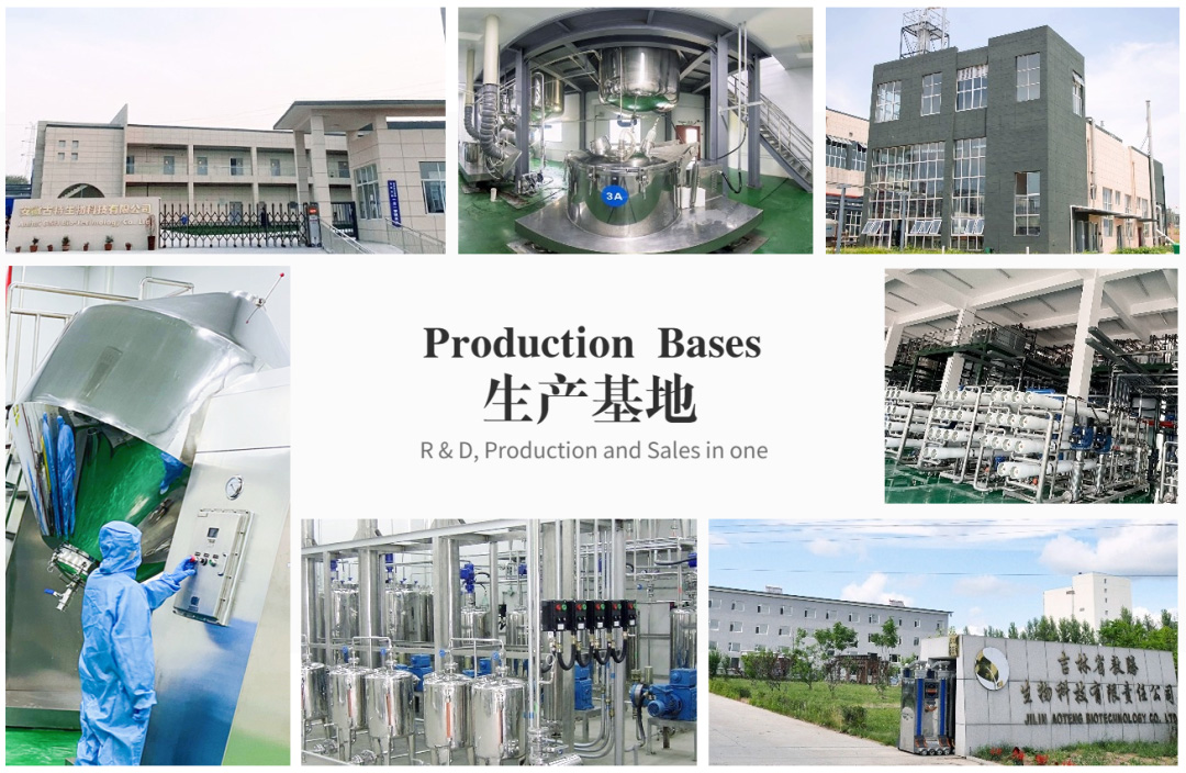 生產基地 生產基地