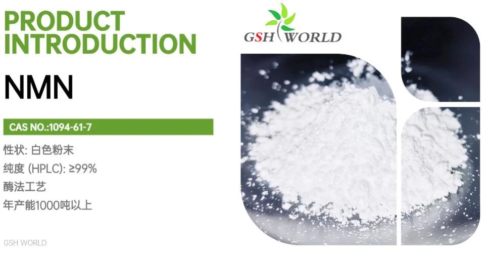 煙酰胺單核苷酸原料:制造商和消費者指南