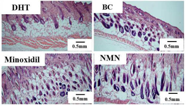 古特生物 古特生物