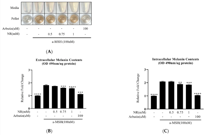 古特生物 NR最新研究結論