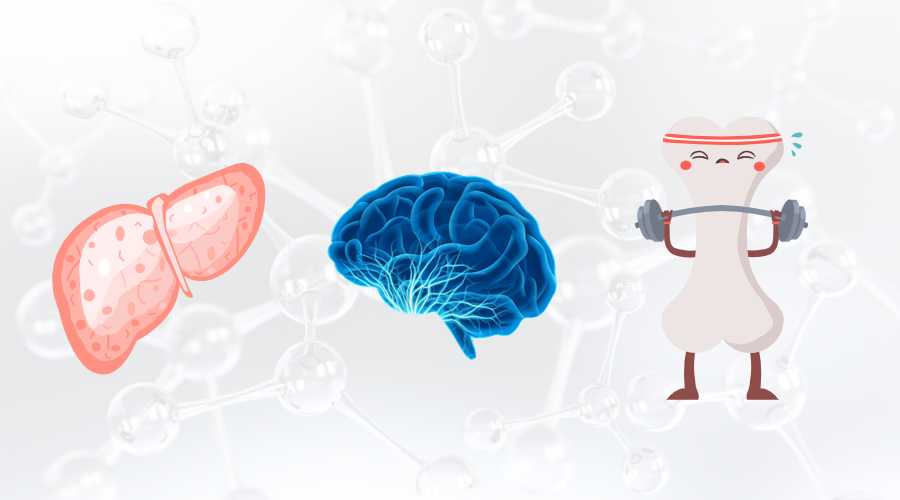 古特生物 SAMe對肝臟健康的潛在益處