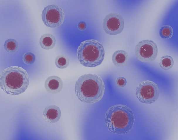 古特生物 PQQ的結構與特性