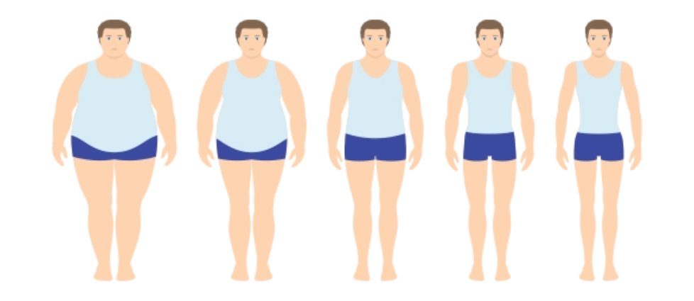 對肥胖“氧化應(yīng)激-炎癥”循環(huán)的阻斷作用 對肥胖“氧化應(yīng)激-炎癥”循環(huán)的阻斷作用