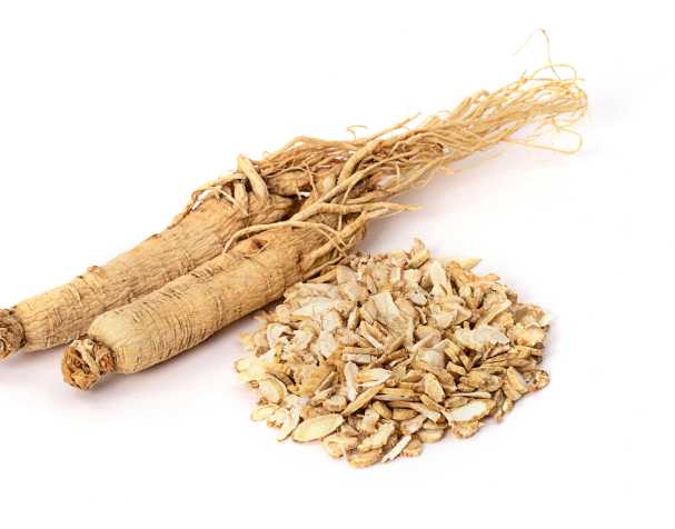 古特生物 古特生物