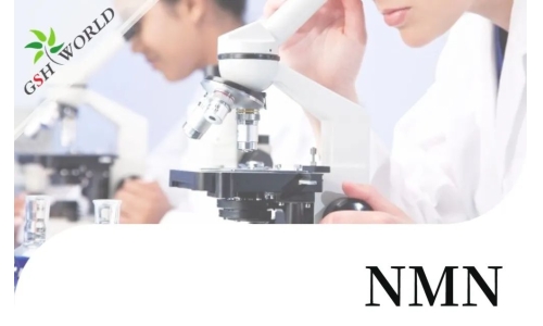 行業關注 - 最新研究長期補充NMN可改善血管健康