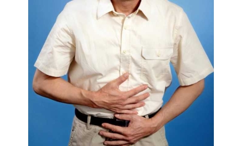 哪些成分對維護腸道健康有效？