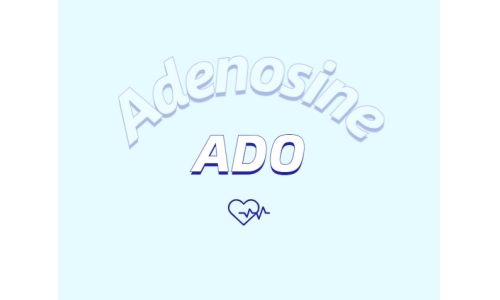 洗護用品中添加腺苷是否有防脫發功能？