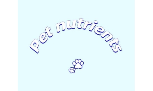 三種具有潛力的寵物營養(yǎng)素——PQQ、輔酶Q10以及S-腺苷甲硫氨酸