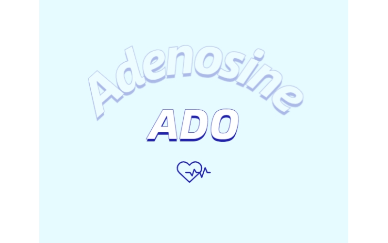 腺苷作為抗脫發外用制劑所發揮的作用