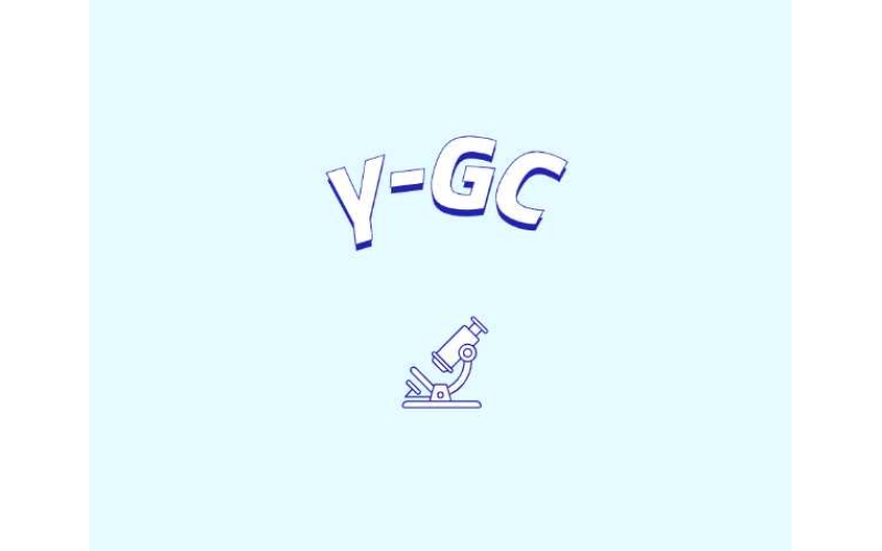 認識γ-谷氨酰半胱氨酸